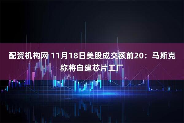 配资机构网 11月18日美股成交额前20：马斯克称将自建芯片工厂