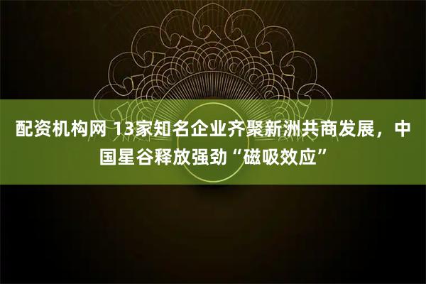 配资机构网 13家知名企业齐聚新洲共商发展，中国星谷释放强劲“磁吸效应”